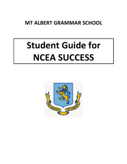 Revision Strategies revised 2016