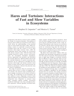 Hares and Tortoises: Interactions of Fast and Slow Variables in