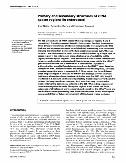 Primary and secondary structures of rRNA spacer