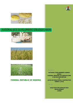 NRDS FINAL National rice development stategy
