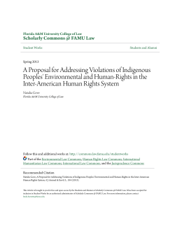 A Proposal for Addressing Violations of Indigenous Peoples
