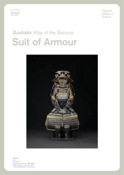 Suit of Armour