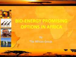 bio-energy promising energy promising options in africa bio