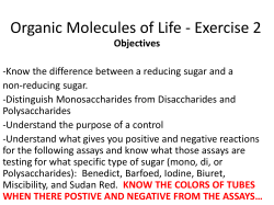 Organic Molecules Of Life - Exercise 2