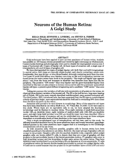 Neurons of the Human Retina: A Golgi Study - Research