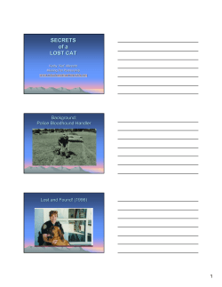 SECRETS of a LOST CAT