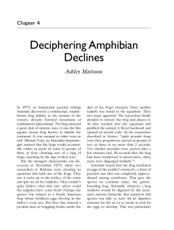 Deciphering Amphibian Declines