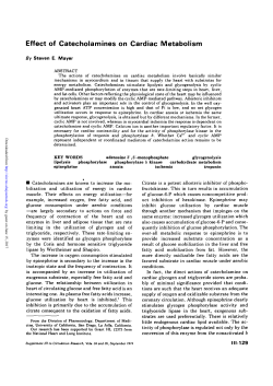 Effect of Catecholamines on Cardiac Mletabolism