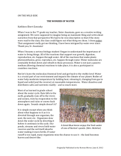 32.Wonder.of .Water - Norton Land Preservation Society