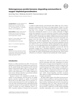 Heterogeneous aerobic benzene‐degrading communities in oxygen