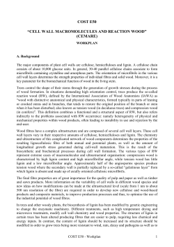 COST E50 &ldquo;CELL WALL MACROMOLECULES AND REACTION