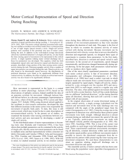 Motor Cortical Representation of Speed and Direction During