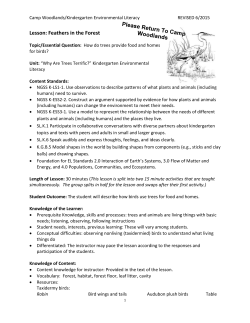 Feathers in the Forest