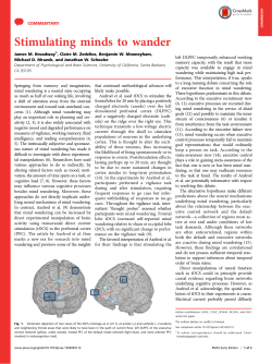 Stimulating minds to wander - University of California, Santa Barbara