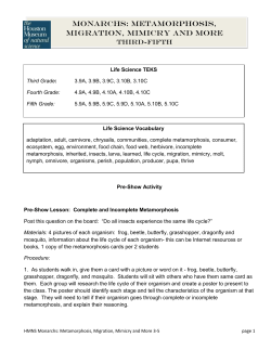 MONARCHS: METAMORPHOSIS, MIGRATION, MIMICRY AND MORE