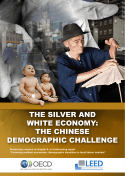 the silver and white economy: the chinese demographic
