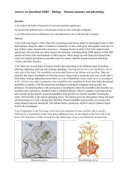 Answer on Question# 54681 &ndash; Biology &ndash; Human anatomy and