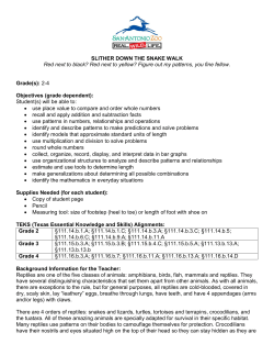 SLITHER DOWN THE SNAKE WALK Red next to black? Red next to