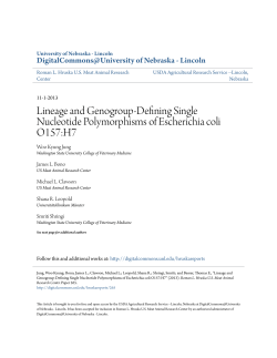 Lineage and Genogroup-Defining Single Nucleotide Polymorphisms