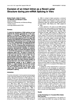 Excision of an Intact lntron as a Novel Lariat Structure during pre