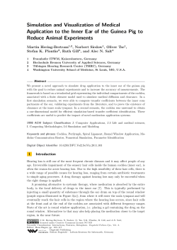 Simulation and Visualization of Medical Application to the Inner Ear