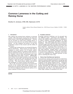 Common Lameness in the Cutting and Reining Horse