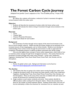 Forest Carbon Cycle Game