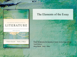 The Elements of the Essay