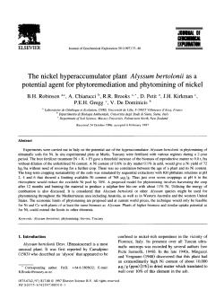 The nickel hyperaccumulator plant Alyssum bertolonii as a potential