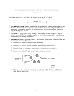 general characteristics of the endocrine system