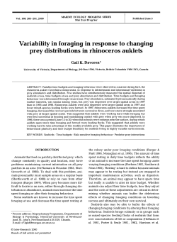 Full text in pdf format