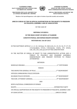 AMICUS CURIAE OF THE UN SPECIAL