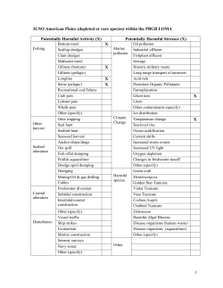 CO # 33: Ensure the survival and recovery of 3LNO American Plaice