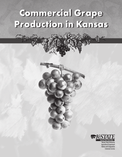 MF2370 Commercial Grape Production in Kansas
