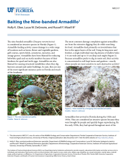 Armadillo Baiting - Manatee County Extension Office