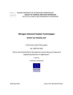 Nitrogen Chemical Fixation Technologies