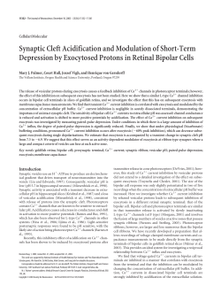 Synaptic Cleft Acidification and Modulation of Short