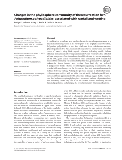 Changes in the phyllosphere community of the resurrection fern