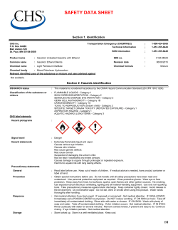 Unleaded Gasoline with Ethanol Safety Data Sheet