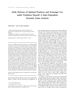 Daily Patterns of Optimal Producer and Scrounger Use under