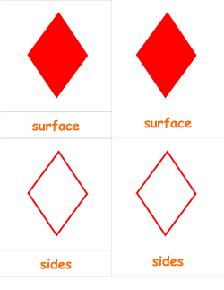 25 parts of a rhombus