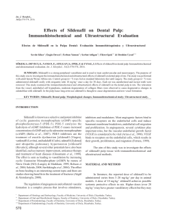Effects of Sildenafil on Dental Pulp: Immunohistochemical