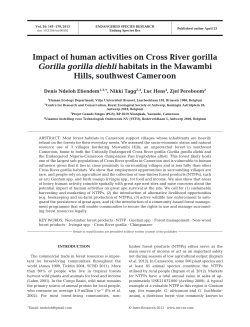 Impact of human activities on Cross River gorilla Gorilla gorilla diehli