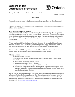 Falconry Fact Sheet