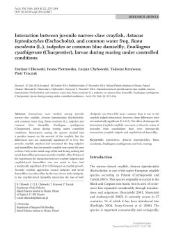 Interaction between juvenile narrow