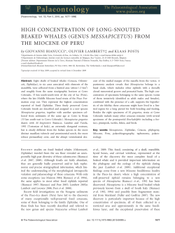 - Wiley Online Library