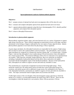BC2004 Lab Exercise 6 Spring 2005 Spectrophotometric analysis of