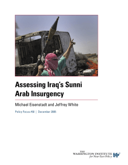 Assessing Iraq`s Sunni Arab Insurgency