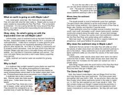 lake saving in progress