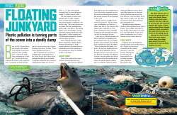 Plastic pollution is turning parts of the ocean into a